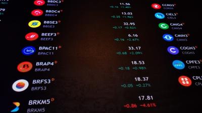 Bolsa brasileira opera com alta de quase 7% neste ano (Imagem: Shutterstock)