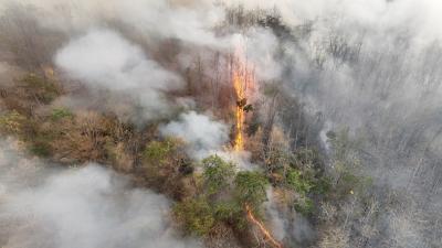 Chuvas intensas em alguns lugares e secas extremas em outros podem ser provadas pelo fenômeno (Imagem: Shutterstock)