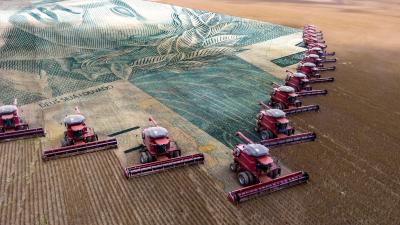 BBAS3 carrega uma carteira de crédito agrícola orçada em R$ 418,4 bilhões (Imagem: Shutterstock)