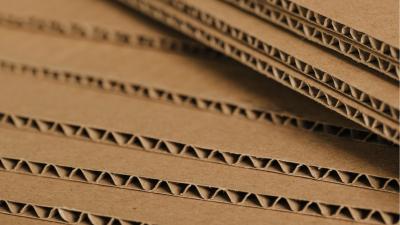 Irani produz papel para embalagens e embalagem de papelão ondulado (Imagem: Shutterstock)