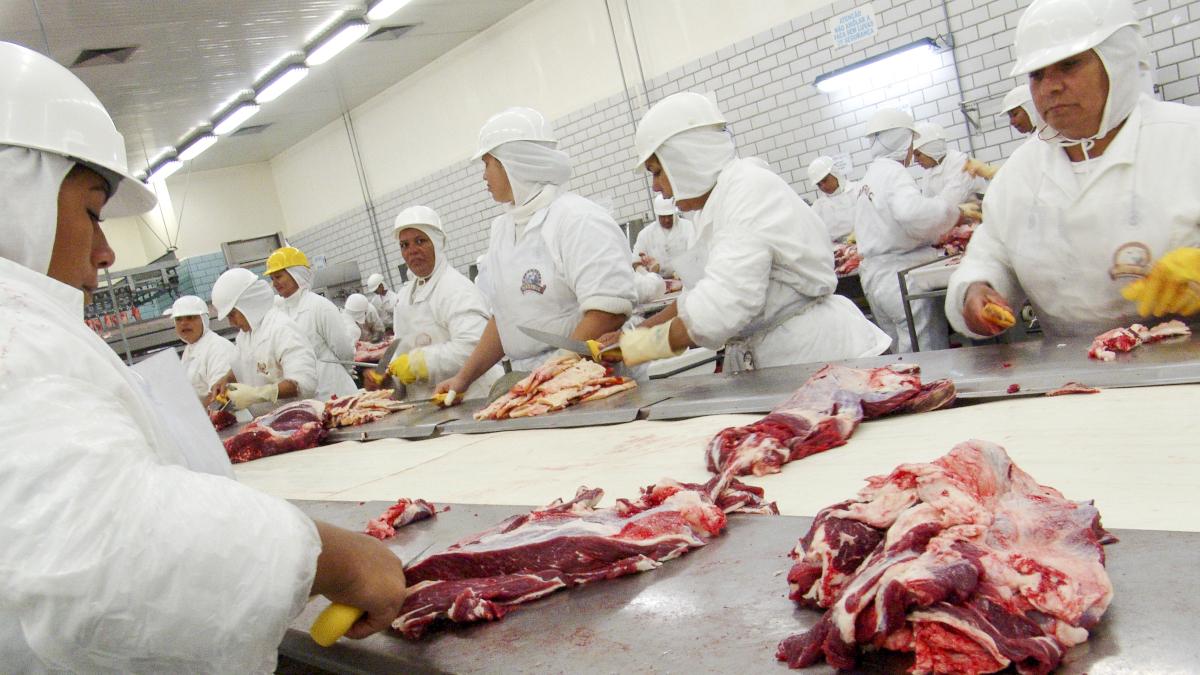 Só que as receitas da JBS foram recordes durante o trimestre (Imagem: Shutterstock)
