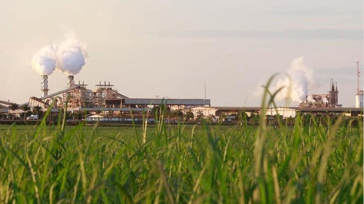 SMTO3 até que aproveitou maior produtividade agrícola na nova safra (Imagem: Divulgação)