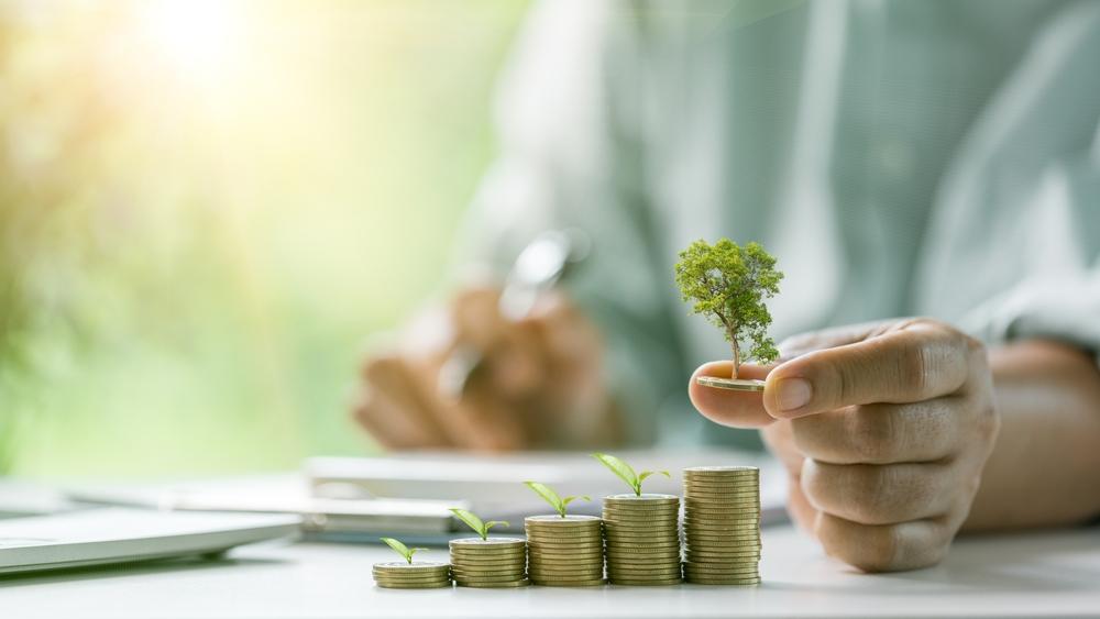 Investimentos sustentáveis tem ganhado relevância na carteira de investimentos (Imagem: Shutterstock)