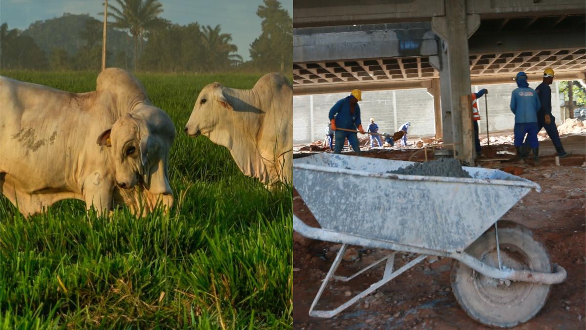 CRAs e CRIs ajudam empresas do agronegócio e do mercado imobiliário a se financiarem (Imagem: Shutterstock)