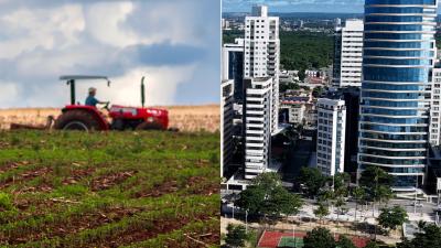LCAs e LCIs ajudam bancos a financiar o agronegócio e o mercado imobiliário (Imagem: Shutterstock)