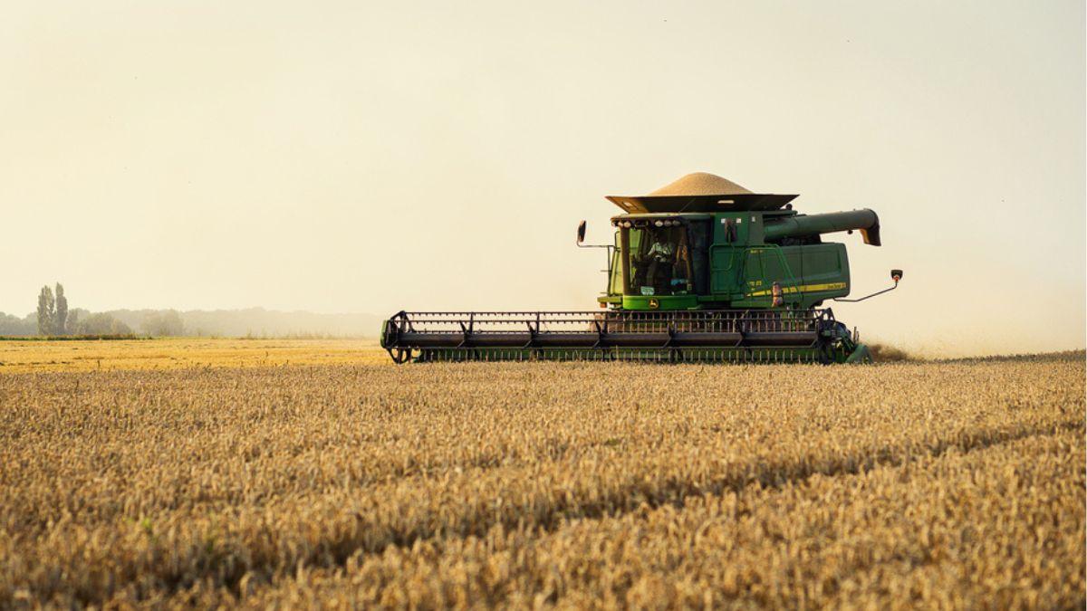 A BrasilAgro atua na produção agrícola e na venda de propriedades rurais (Imagem: Shutterstock)
