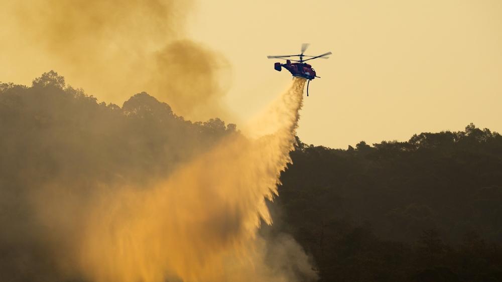 El Niño deve mexer com safra do Brasil nos próximos meses (Imagem: Shutterstock)