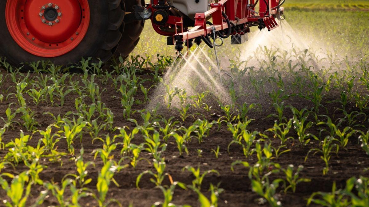 A Vittia produz fertilizantes e defensivos agrícolas (Imagem: Shutterstock)