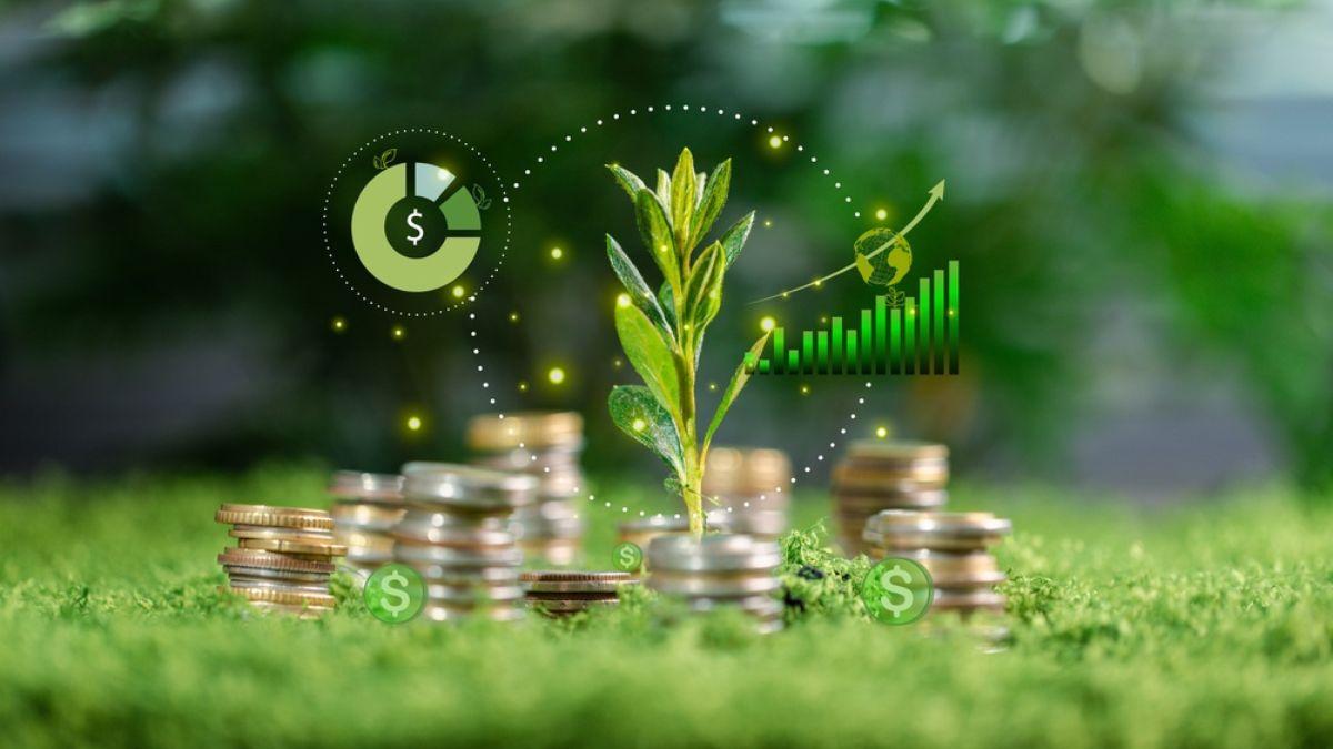 A janela para garantir o dividendo encerrou no mesmo dia do anúncio (Imagem: Shutterstock)