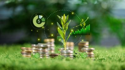 A janela para garantir o dividendo encerrou no mesmo dia do anúncio (Imagem: Shutterstock)