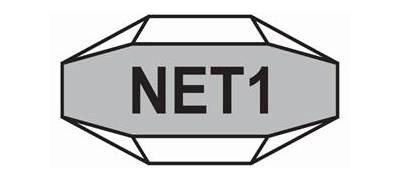 Net 1 UEPS Technologies
