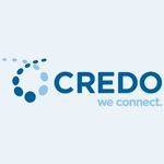 Credo Technology Group Holding Ltd
