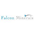 Logo Falcon Minerals
