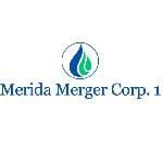 Logo Merida Merger I