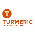 Logo Turmeric Acquisition