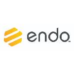 Logo Endo International