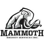 Logo Mammoth Energy Services