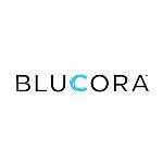 Logo Blucora