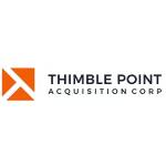 Logo Thimble Point
