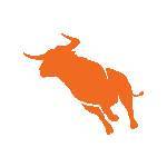 Logo Bull Horn Holdings