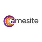 Logo Amesite