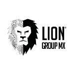 Logo Lion Group Holding