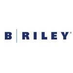 Logo B. Riley Principal 150