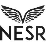 Logo National Energy Services