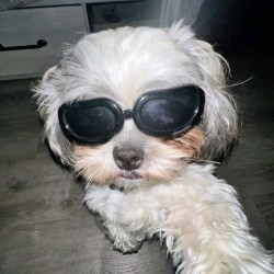 user